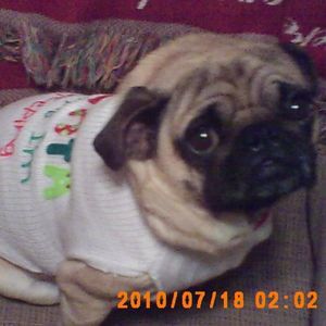 Meet your Posher, Meridith